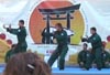 Фестиваль боевых искусств 2010